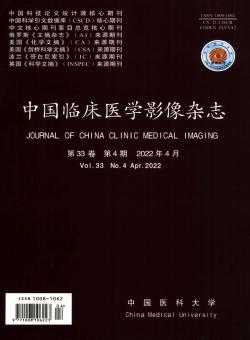 中国临床医学影像